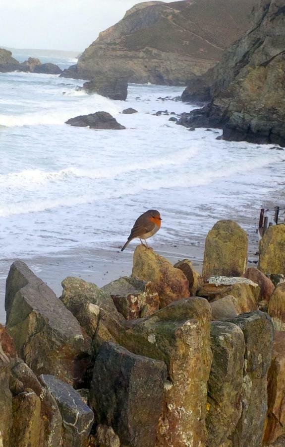 Villa Wrens Nook St Agnes  Exterior foto